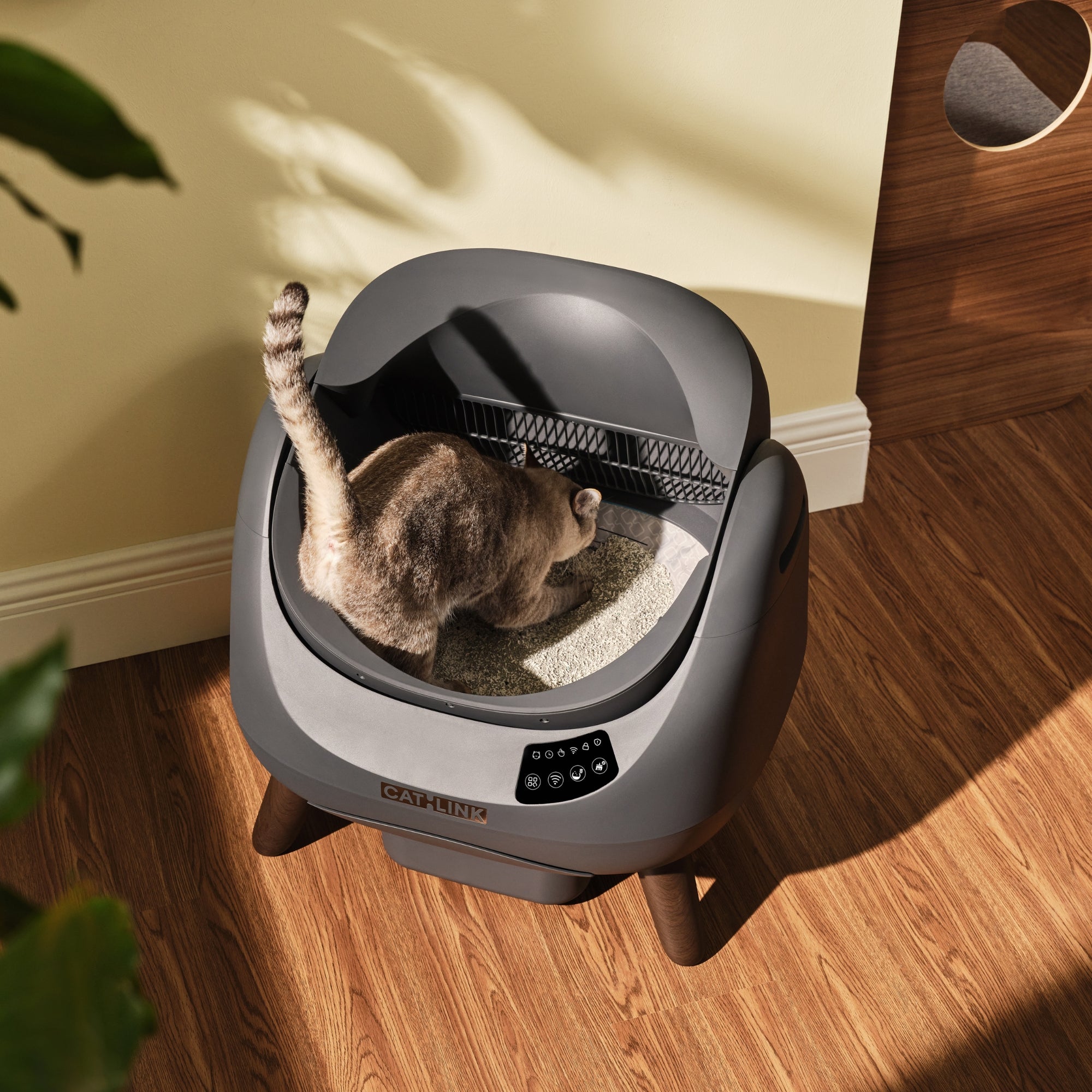 CATLINK Open-X Cat Litter Box – Open-Top, Spacious & Self-Cleaning