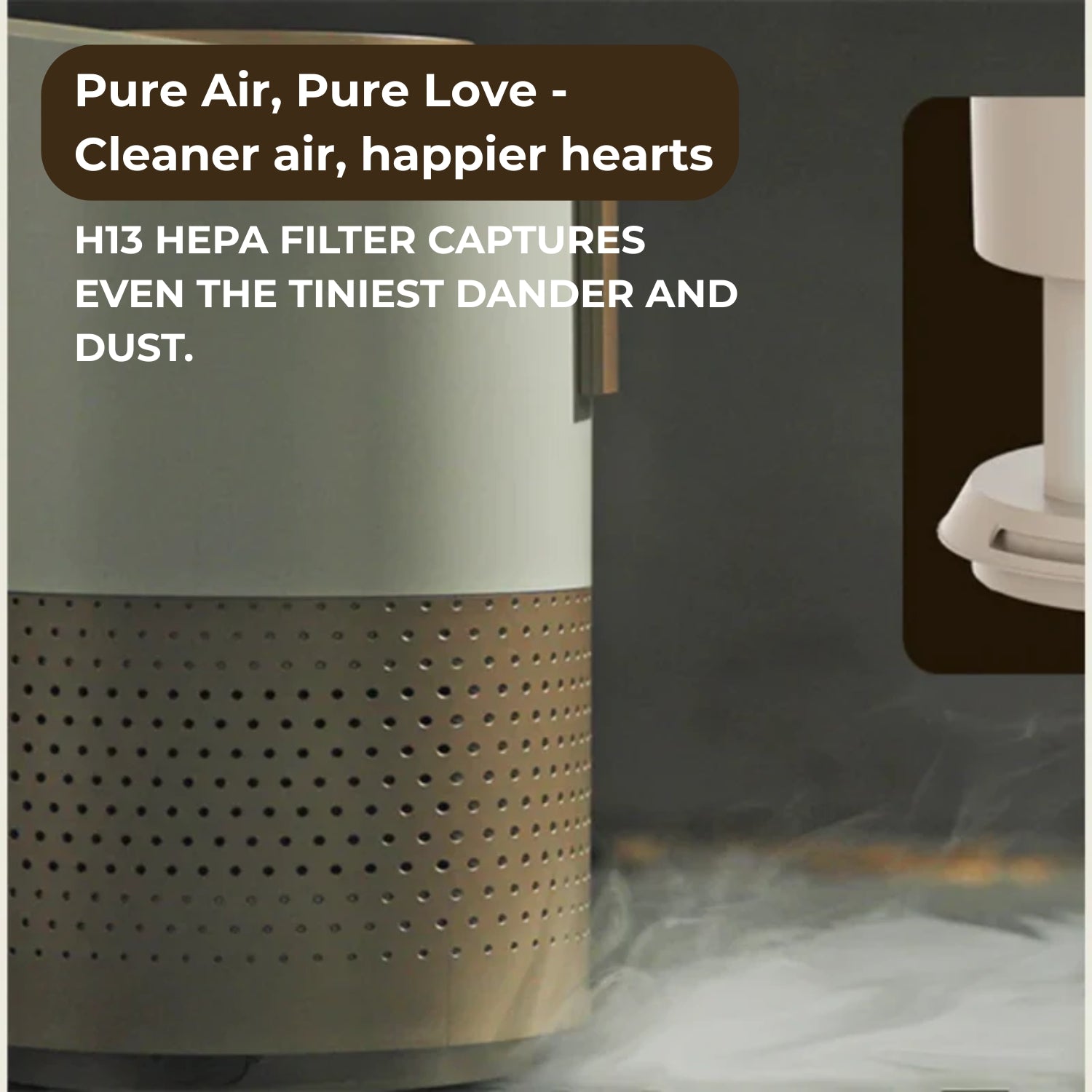 PetSnowy Smart Pet Air Purifier
