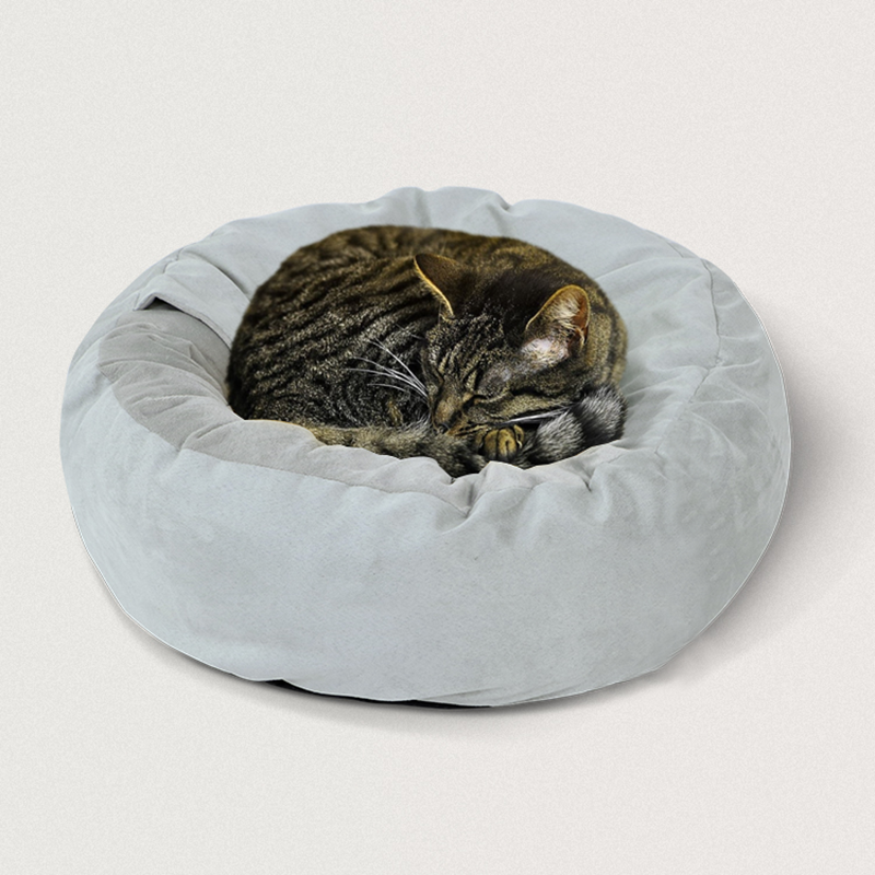 Cat sales soft bed