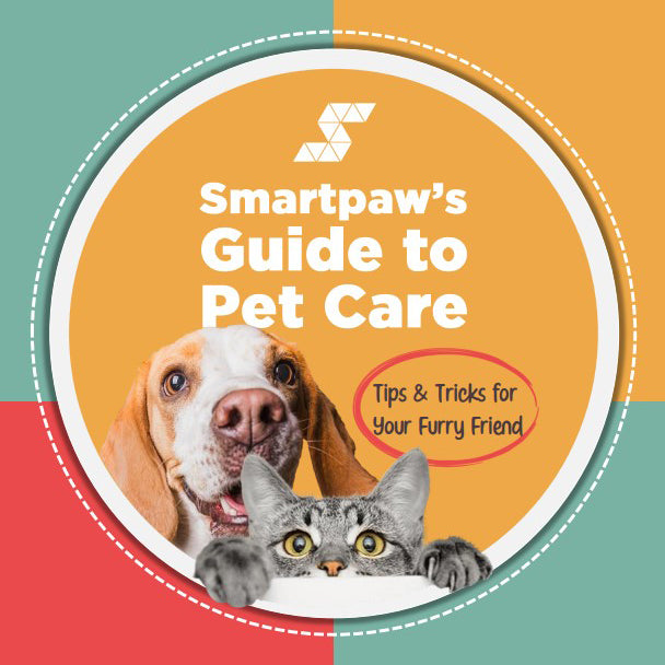 Pet Care Tips Ebooks: Essential Guides for Happy Pets
