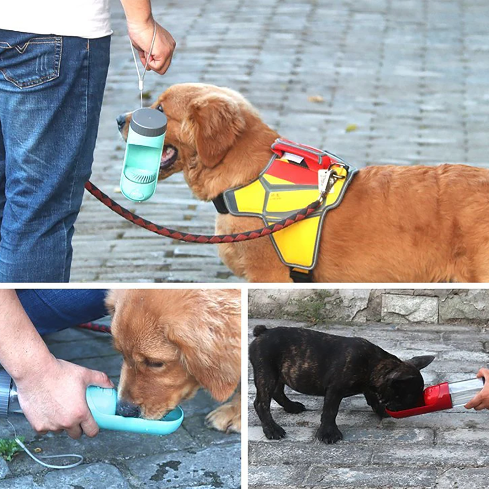 Smart Feeding Bundle