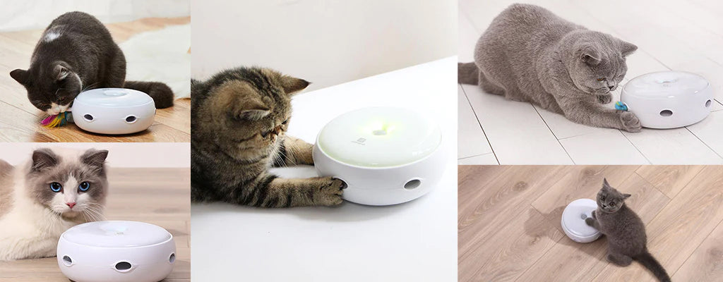Smart Toys for Cat Boredom – The Homerun Electronic Doughnut Cat Toy –  aipaws