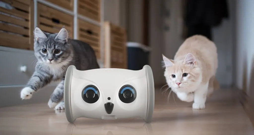 Skymee Owl Robot Pet Camera & Pet Treats Dispenser