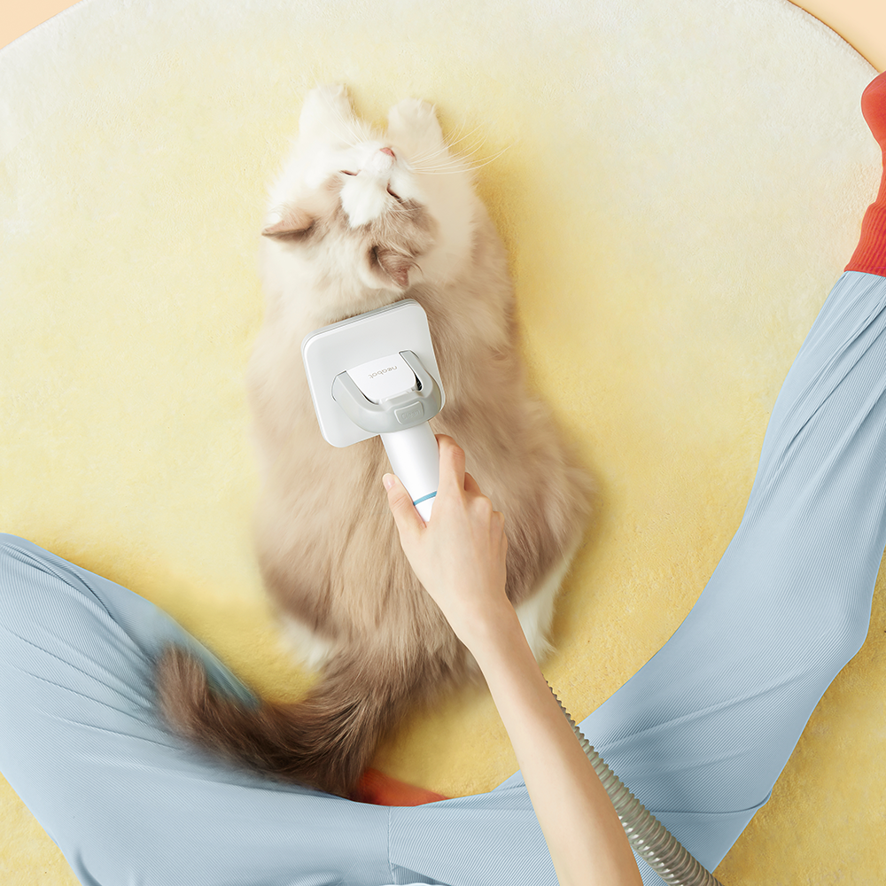 Smartpaw Pet Tech Starter Kit