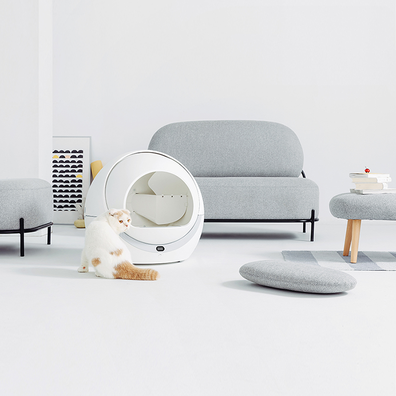 Petree sales cat toilet