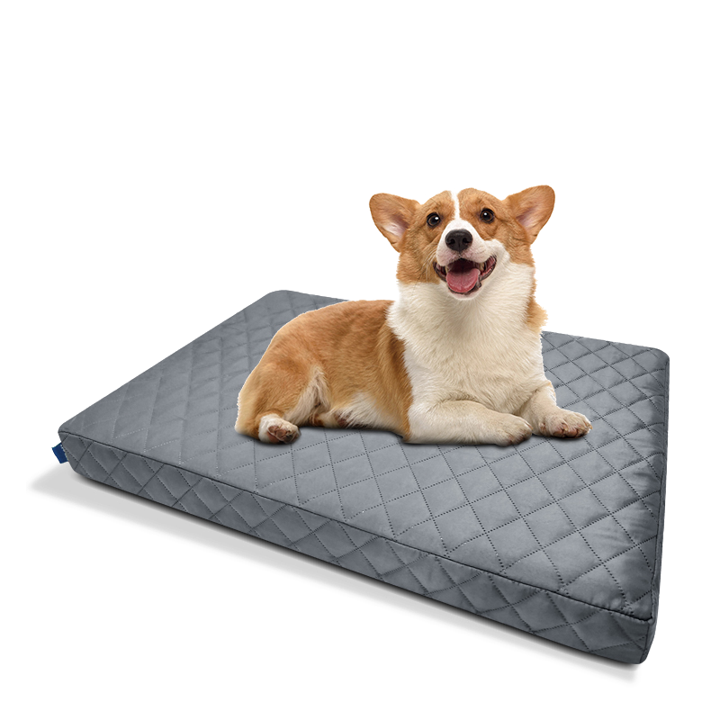 Petslumber Dog Bed