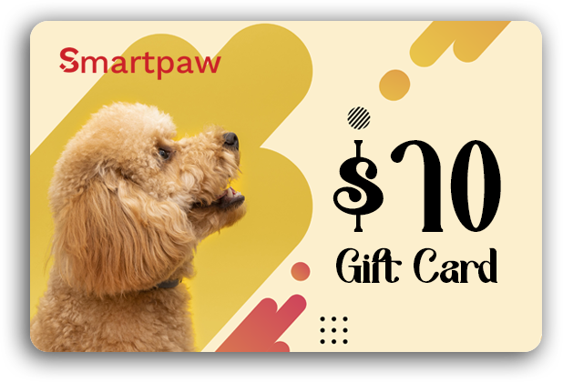 Gift Card - Poodle Party