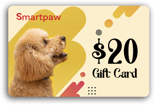 Gift Card - Poodle Party