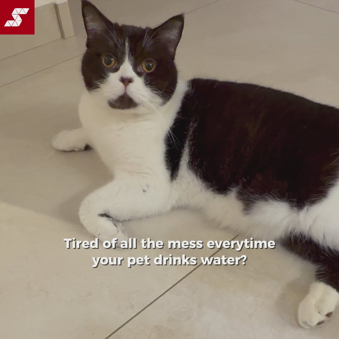 SmartpawLite No Splash Pet Water Bowl 2.0 Official Video