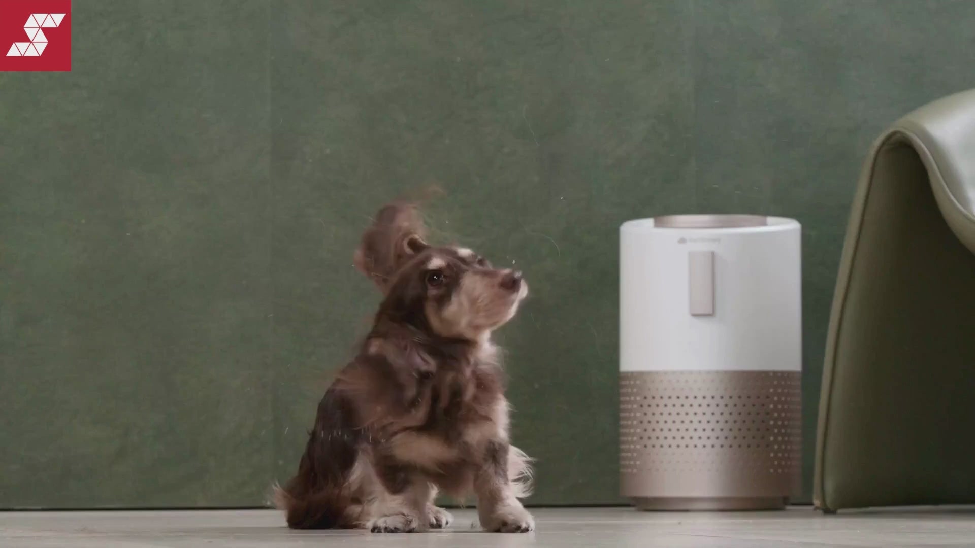 PetSnowy Smart Pet Air Purifier Official Feature Demo Video
