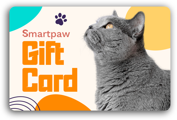 Gift Card - Shorthair Charm