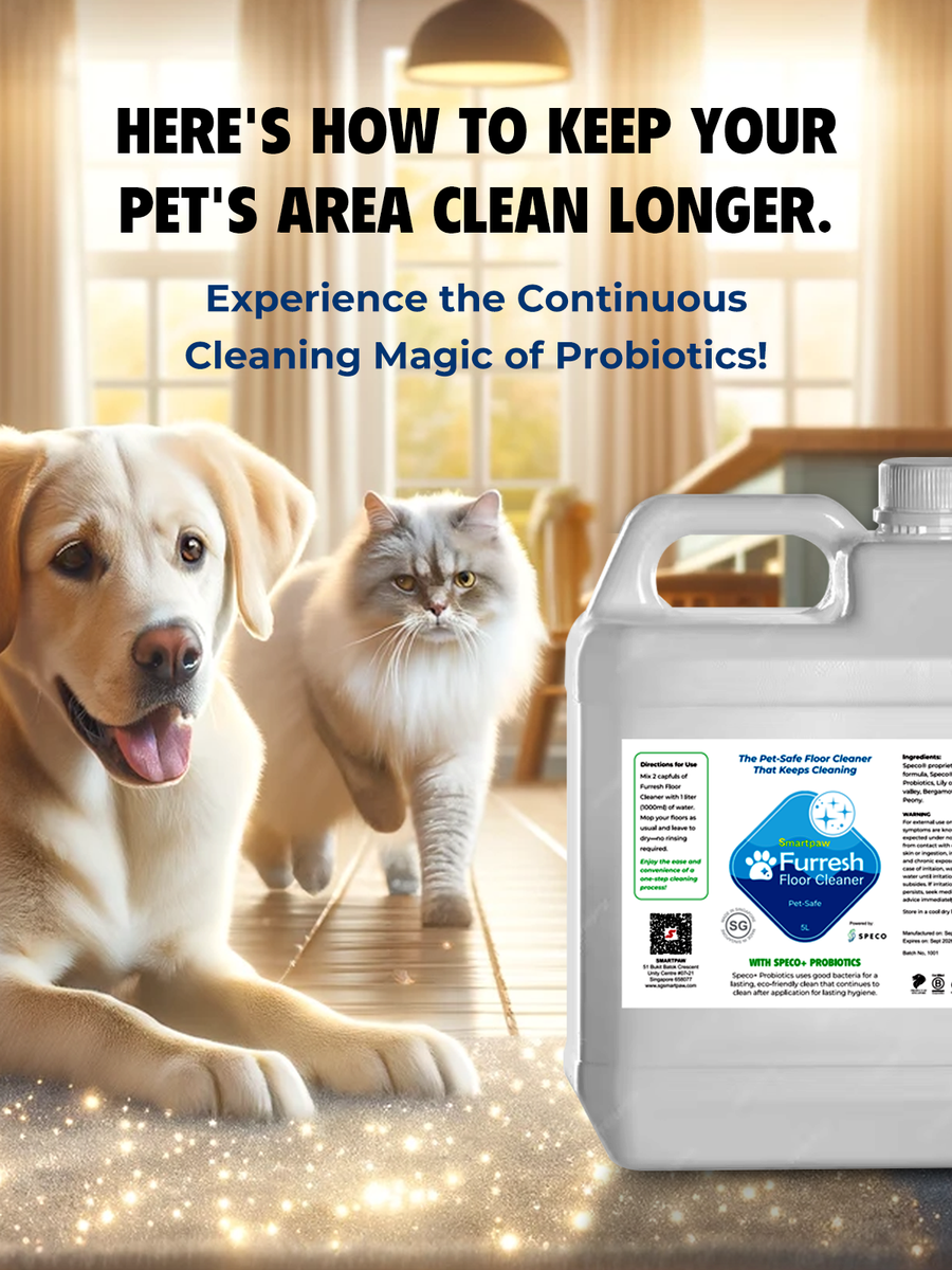 Smartpaw Pet Online Store Singapore 1st Pet Tech Store In Singapore