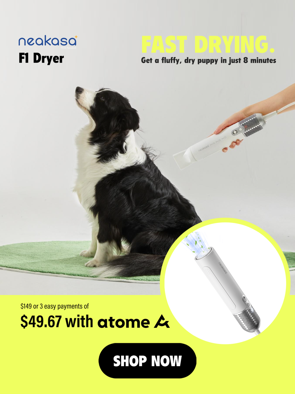 Smartpaw Pet Online Store Singapore 1st Pet Tech Store In Singapore