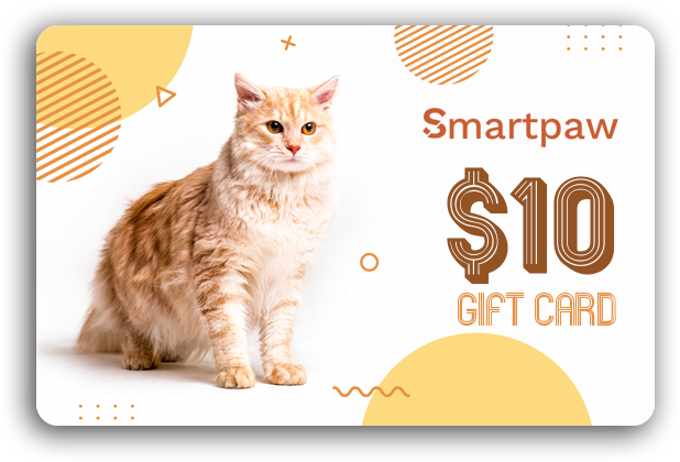 Gift Card - Whisker Wishes