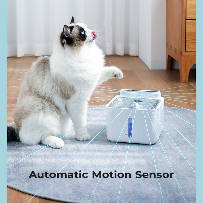 Cat water fountain deals with motion sensor
