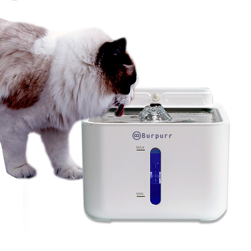 SMARTPAWBurpurr Pet Water Fountain Rechargable Gen 1 Model