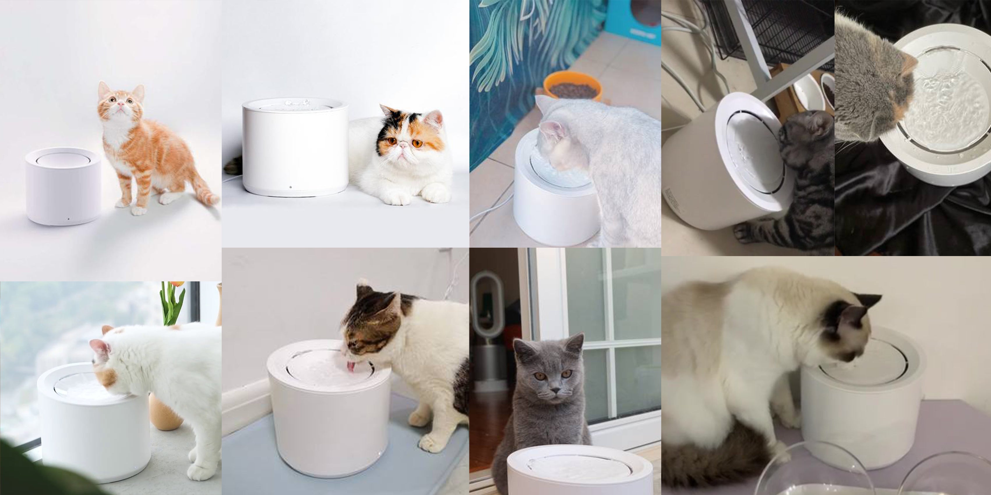 Petree Automatic Pet Water Fountain Dispenser