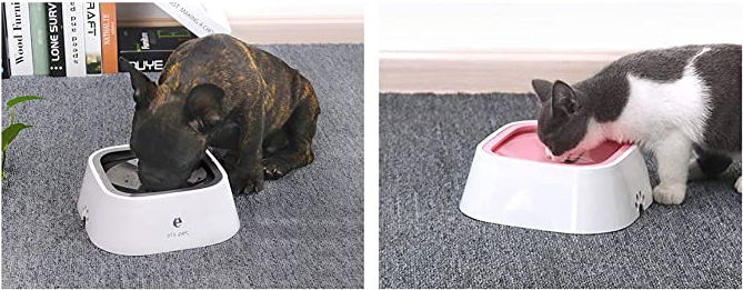 No splash cat water bowl best sale