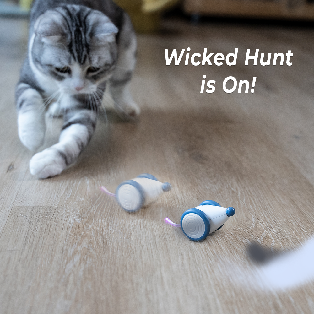 Cheerble Wicked Mouse Interactive Cat Toy