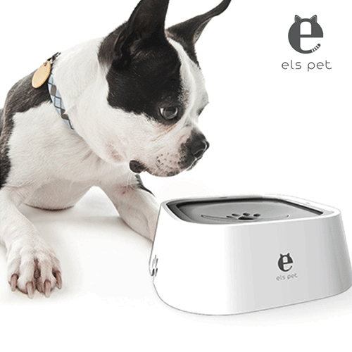 Untippable water bowl for cats hotsell