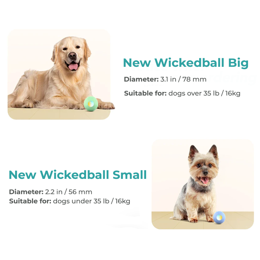 Wickedball Interactive Dog Toy PE/SE - Big and Small Diameter Differences