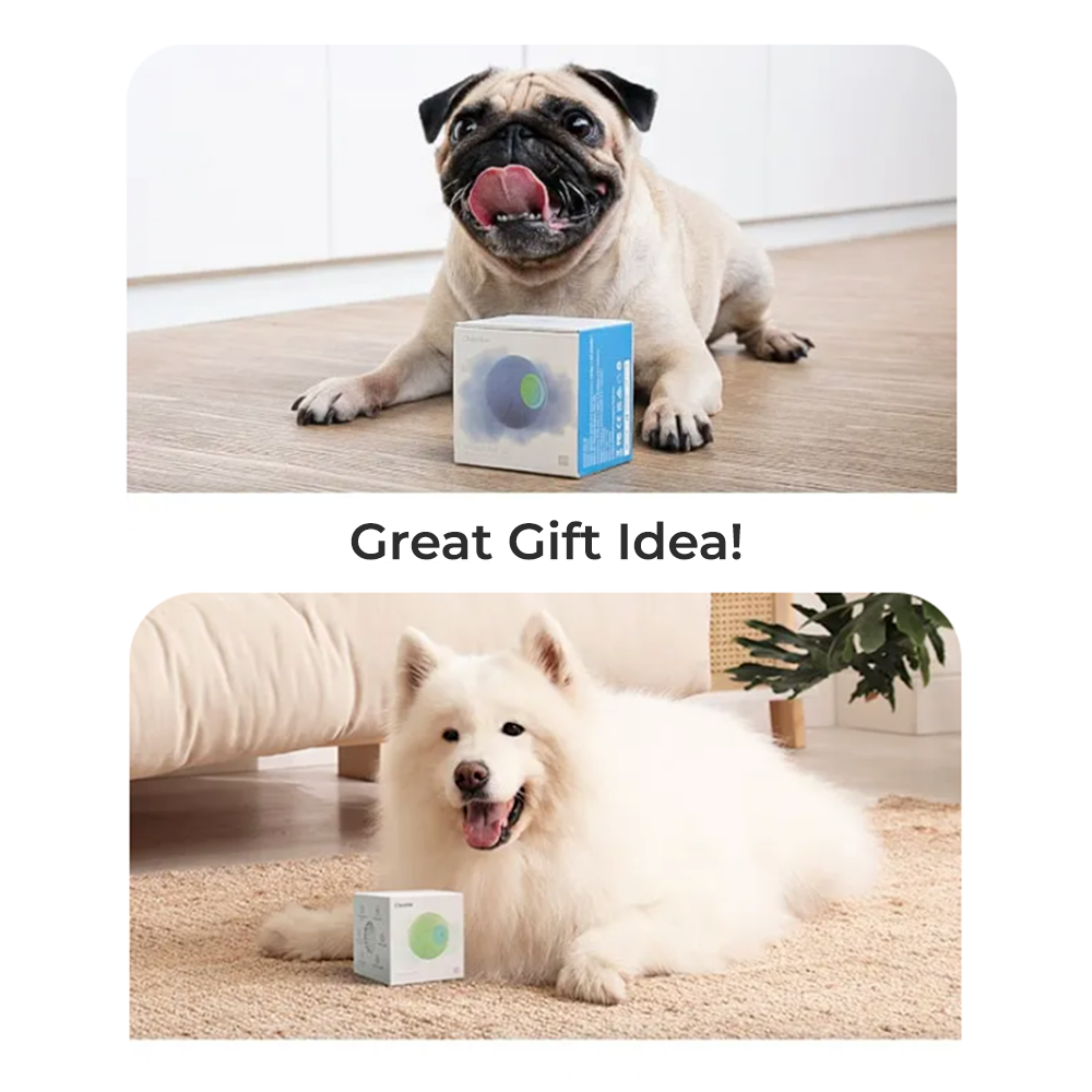 Wickedball Interactive Dog Toy PE/SE - A Great Gift Idea! 