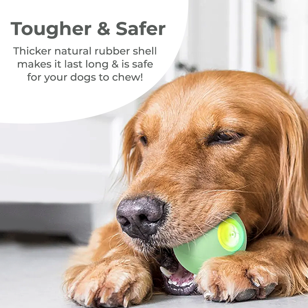 Wickedball Interactive Dog Toy PE SE