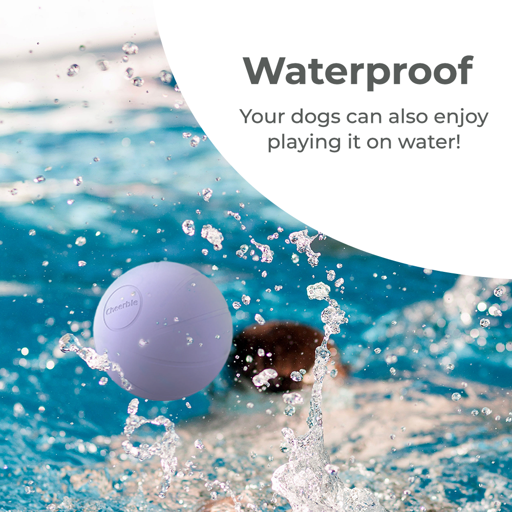 Wickedball Interactive Dog Toy PE/SE - Waterproof